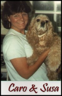 cocker spaniel,14,977 bytes